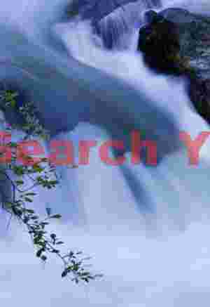 Liquid Motion Abstraction