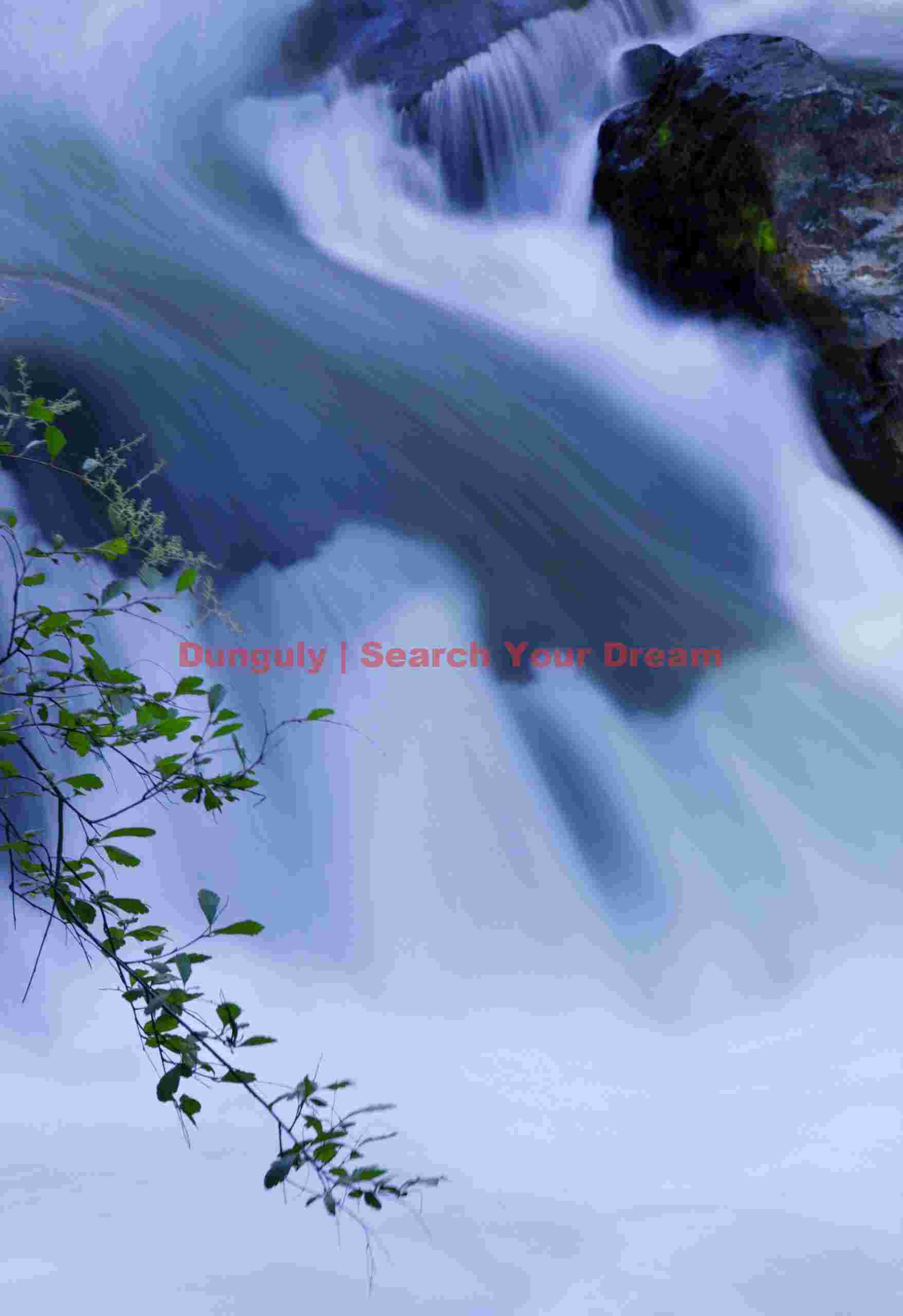 Liquid Motion Abstraction