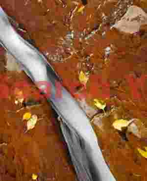 Autumn Waterslide - Fall Colors on Flowing Stone