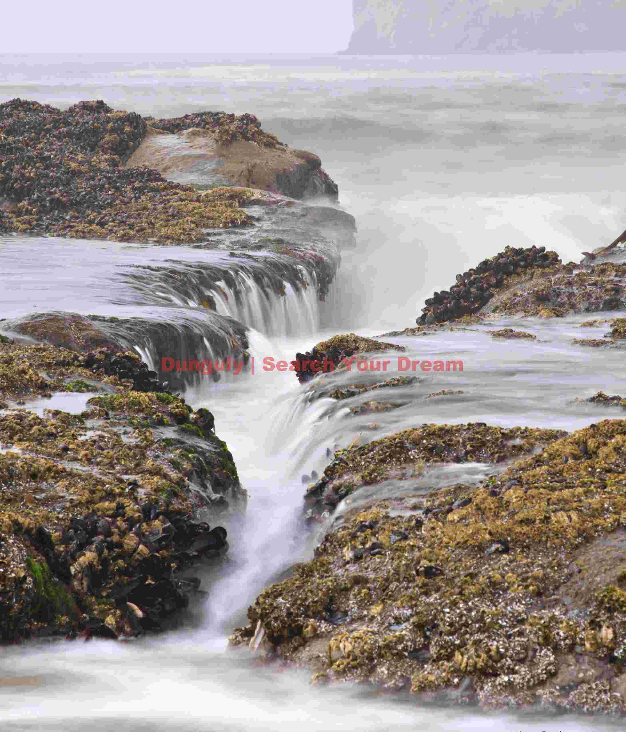 Ocean Surface Dynamics