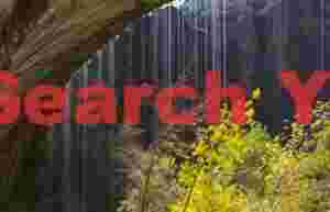 The Weeping Wall of Zion Canyon