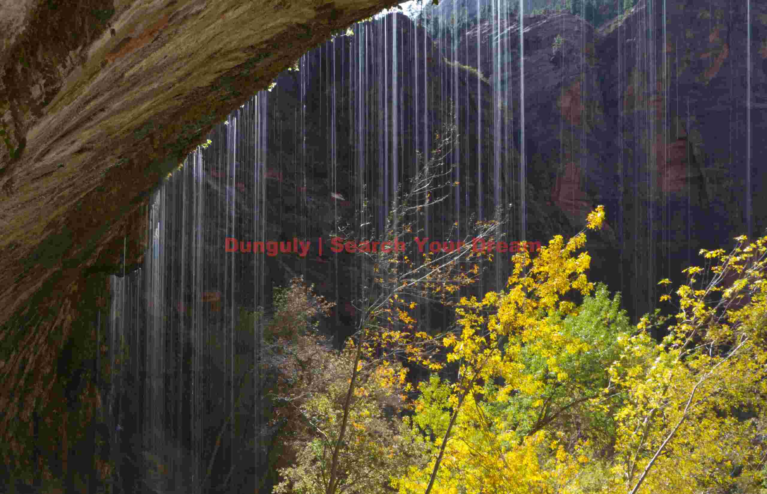 The Weeping Wall of Zion Canyon