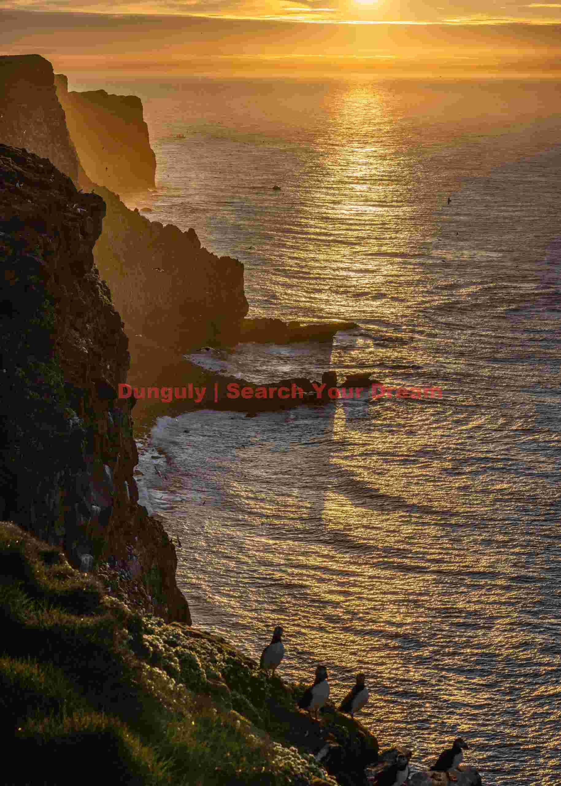 Western Cliffs Of Grimsey