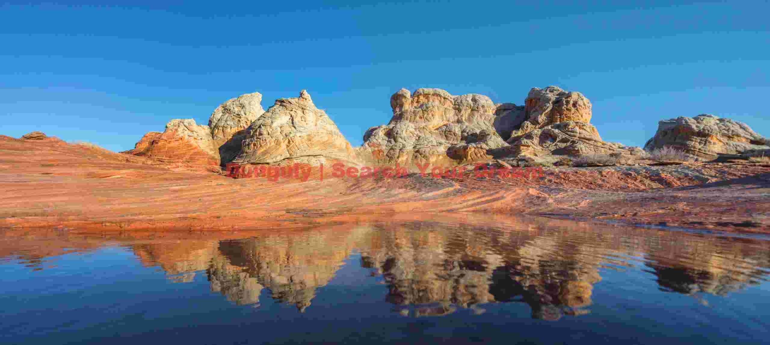 White Pocket reflections after rain - Vermillion Cliffs National Monument - Close