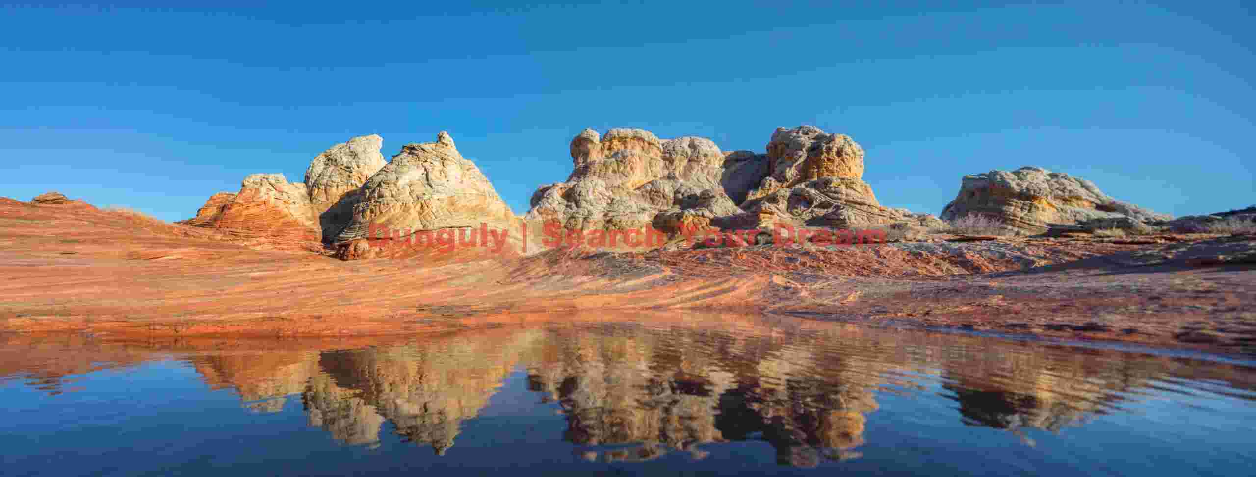 White Pocket reflections after rain - Vermillion Cliffs National Monument
