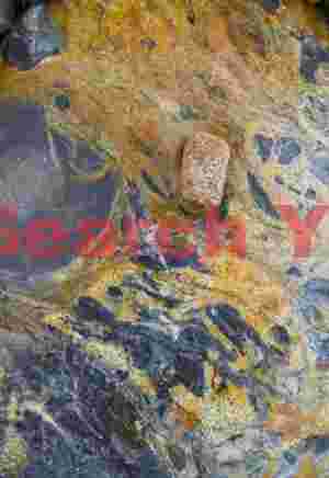 Acadian Coastal Tones