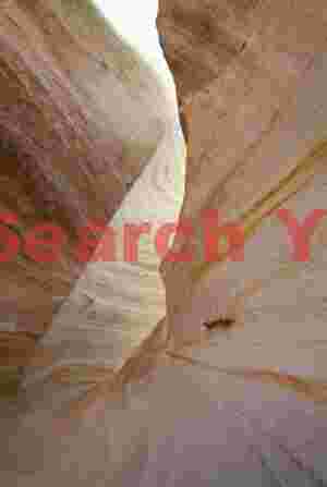 Golden Entrance to the Nautilus Gateway