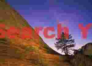 Checkerboard Mesa at night