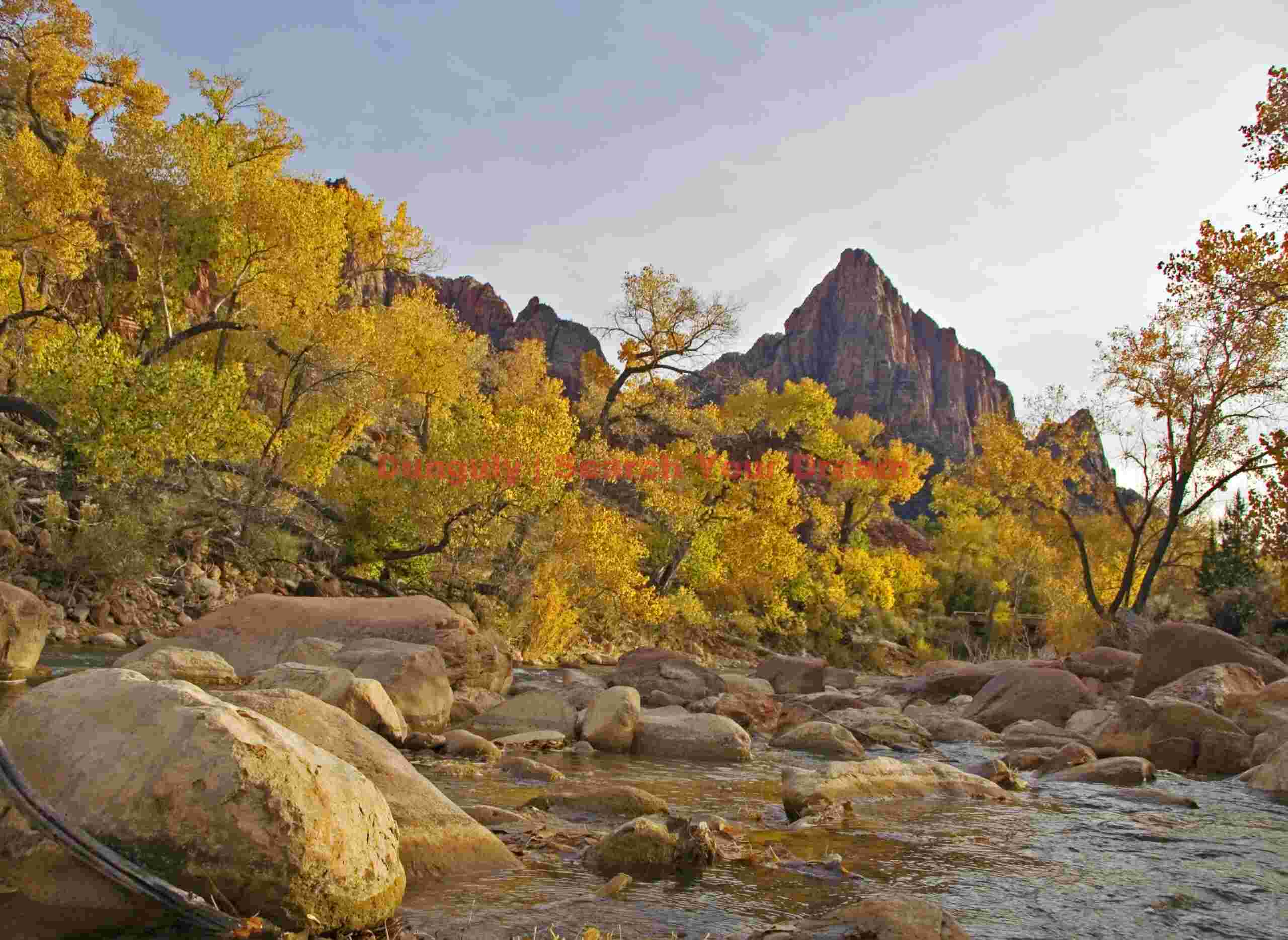 Autumn Colors Along the Virgin River