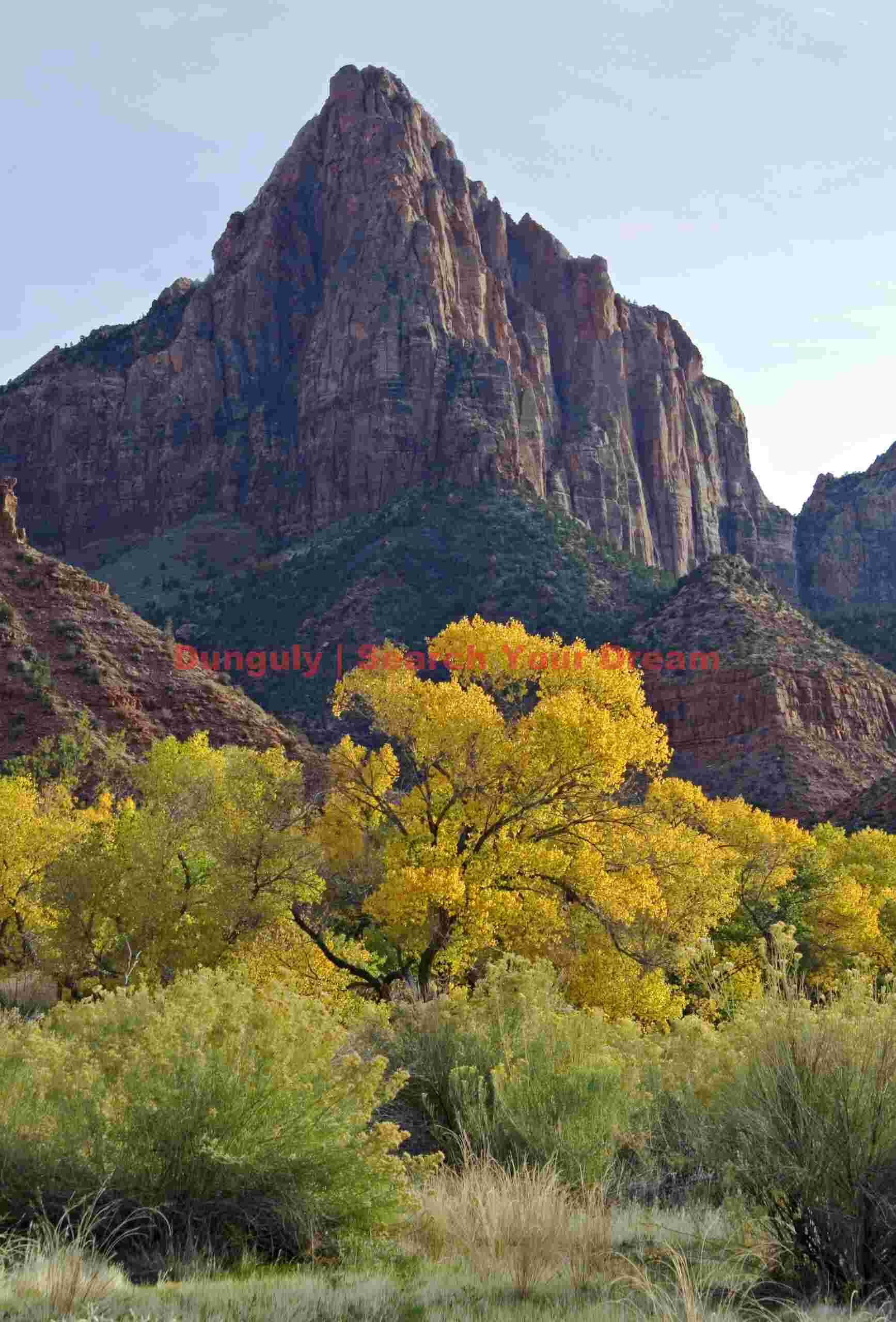 The Watchman with Fall Cottonwood Tree