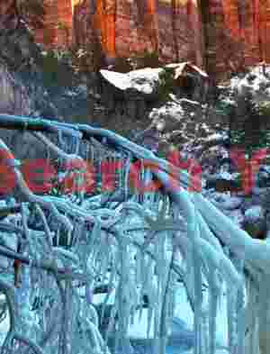 Ice-Crusted Branches at Lower Emerald Pools