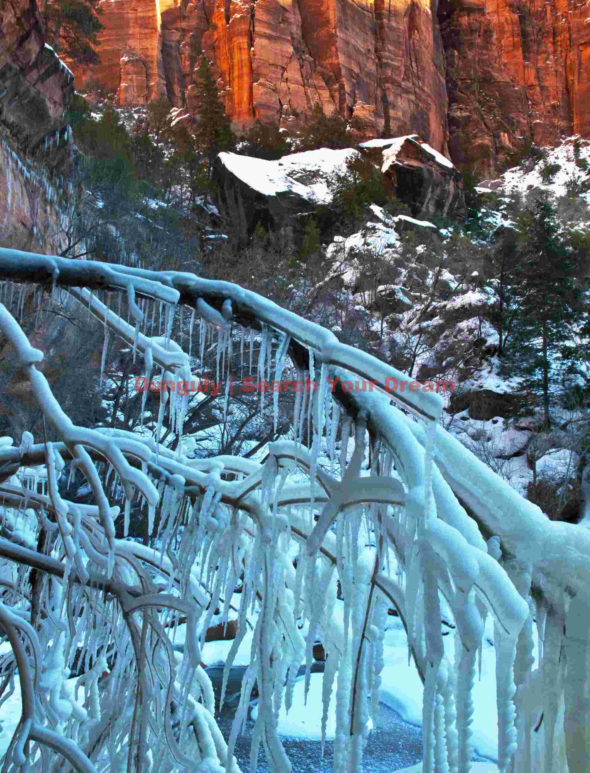 Ice-Crusted Branches at Lower Emerald Pools