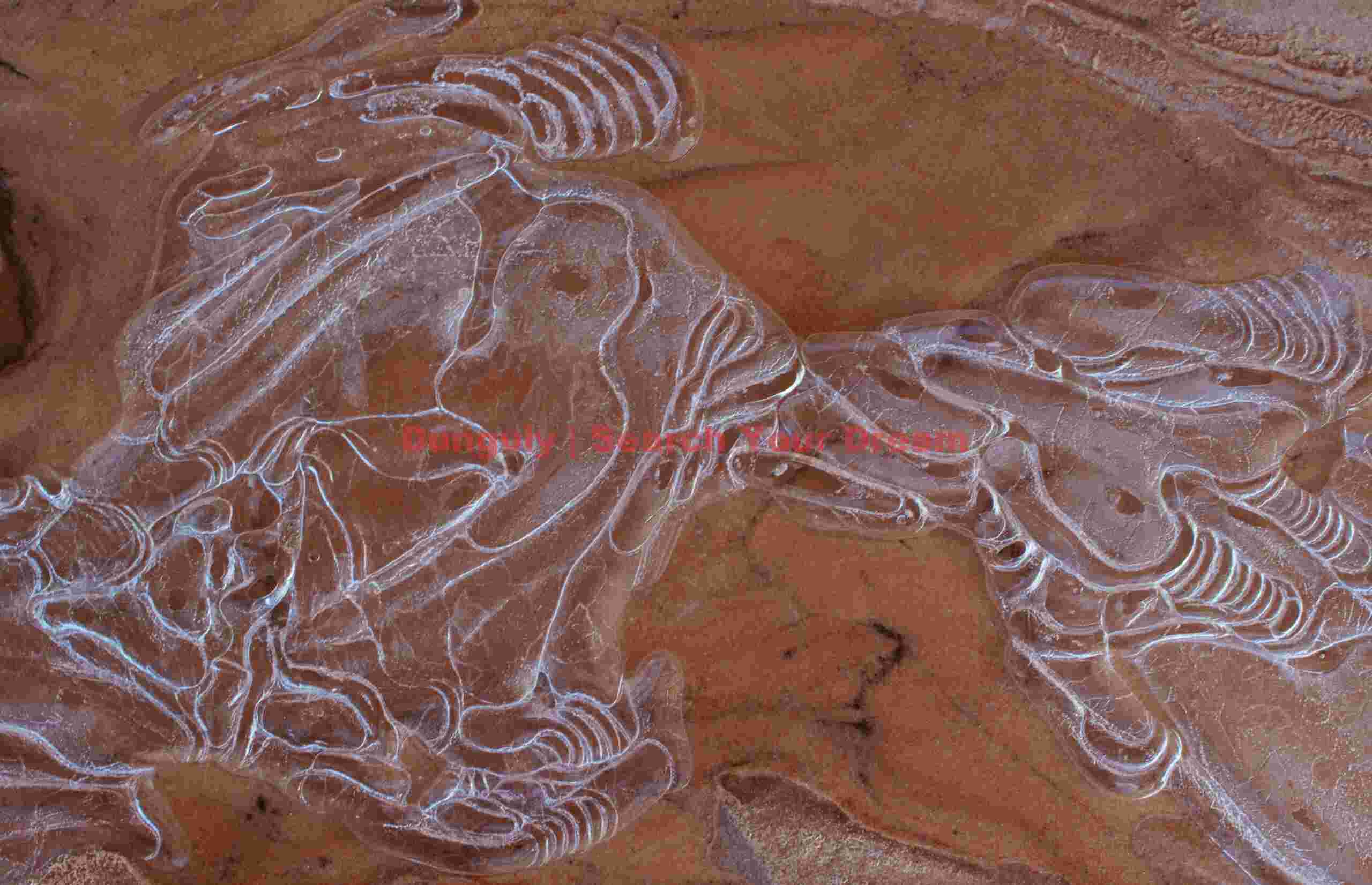 Zion - ice patterns on sandstone