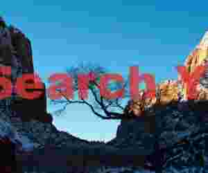 Solitary Tree at Big Bend