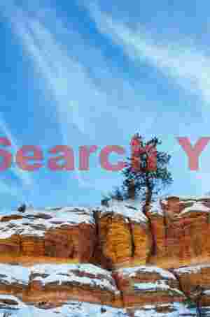 Zion - tree on the plateau edge