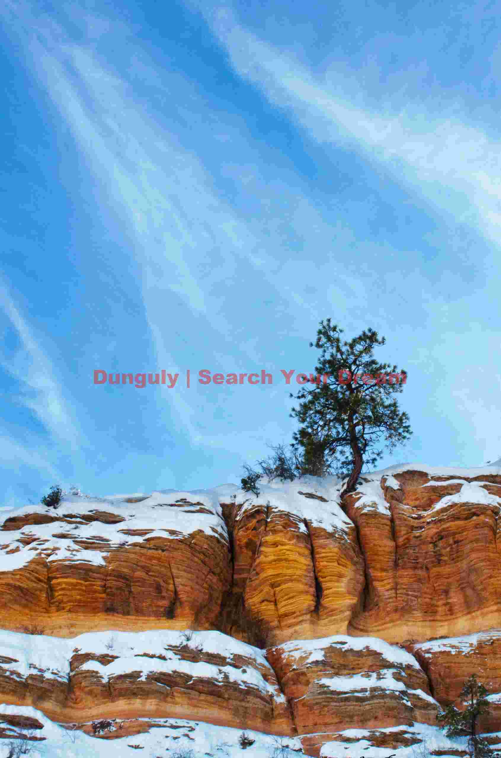 Zion - tree on the plateau edge