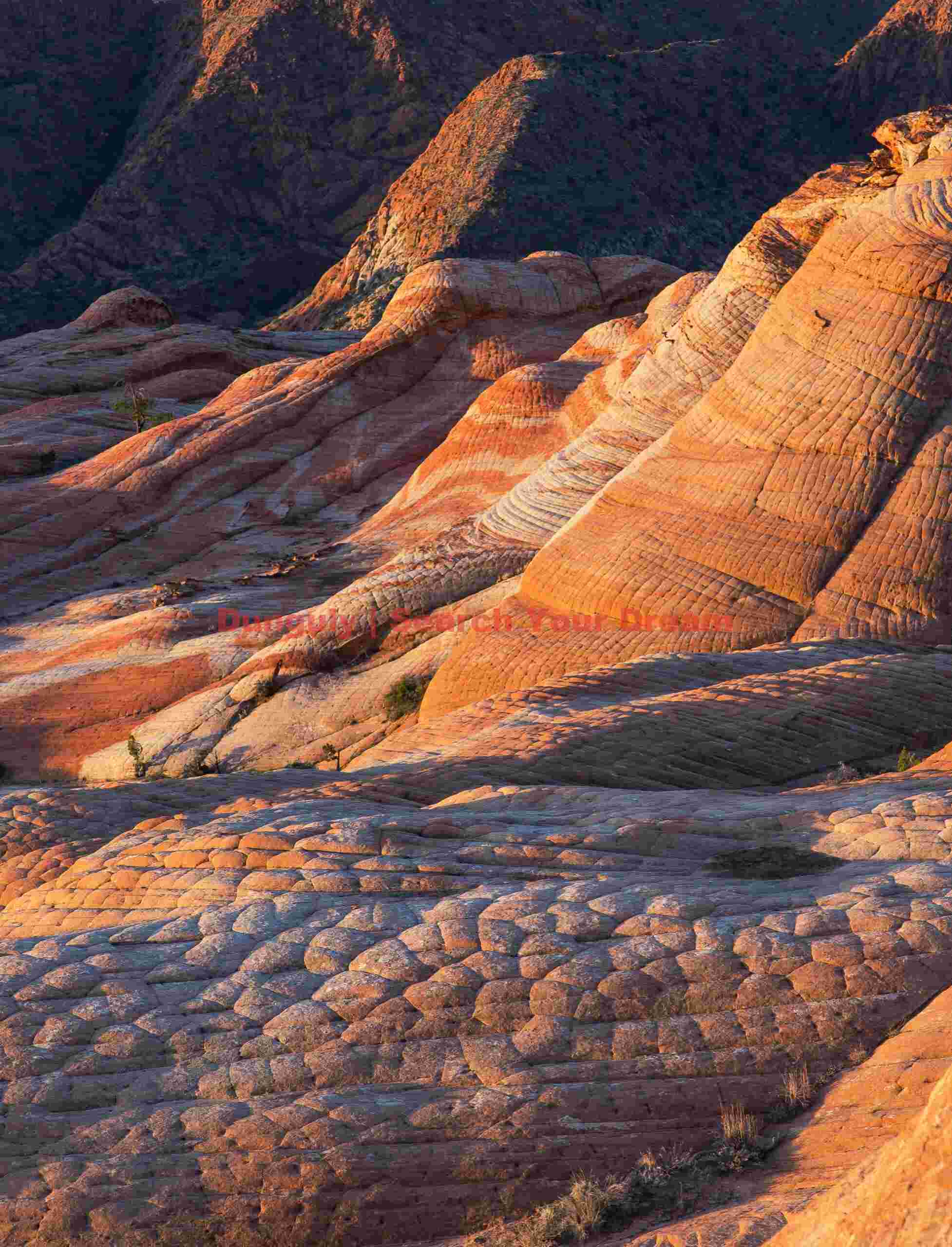 andyland - Yant Flat - Utah
