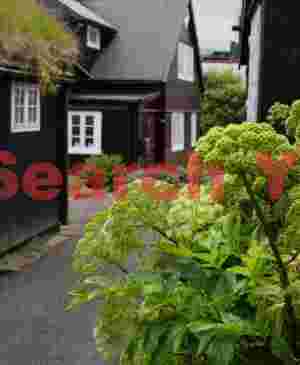 Angelica and cottages