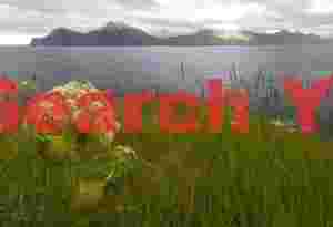 Angelica with view to Kalsoy