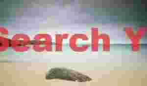 Aquamarine sea, beach and single boulder