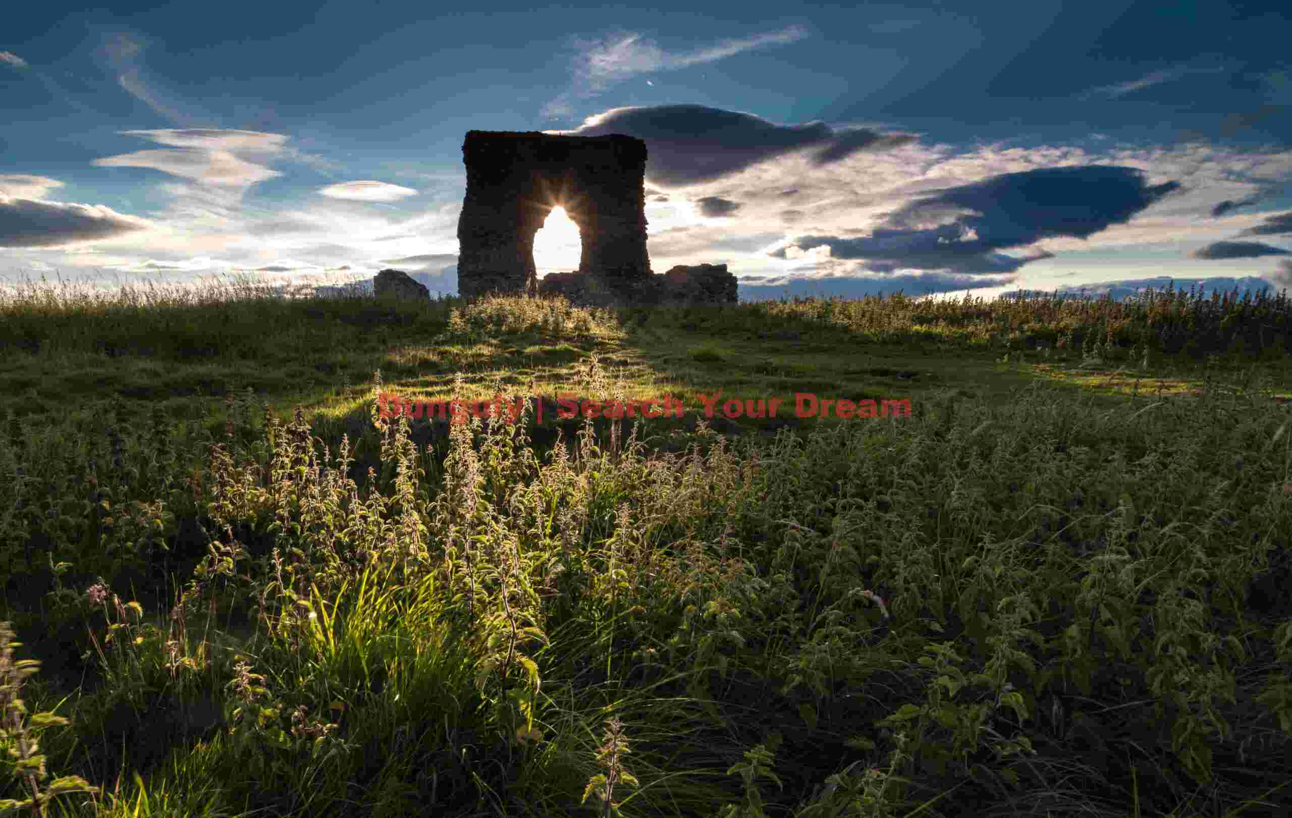 Backlit grasses through the arch