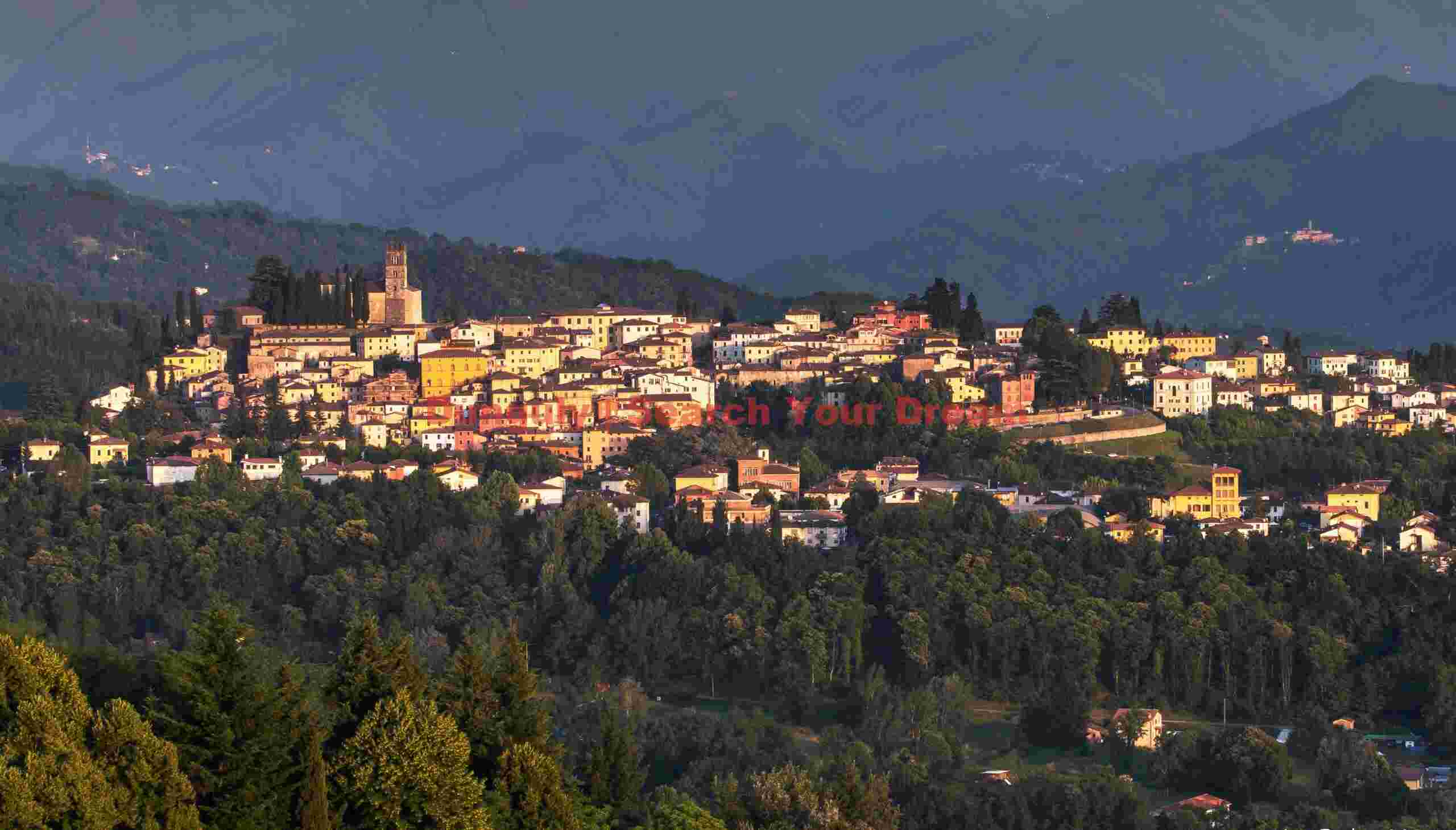 Barga portrait