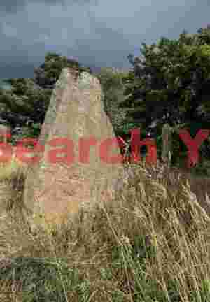 Berrybrae standing stones