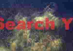 Brine Shrimp and Aquatic Vegetation