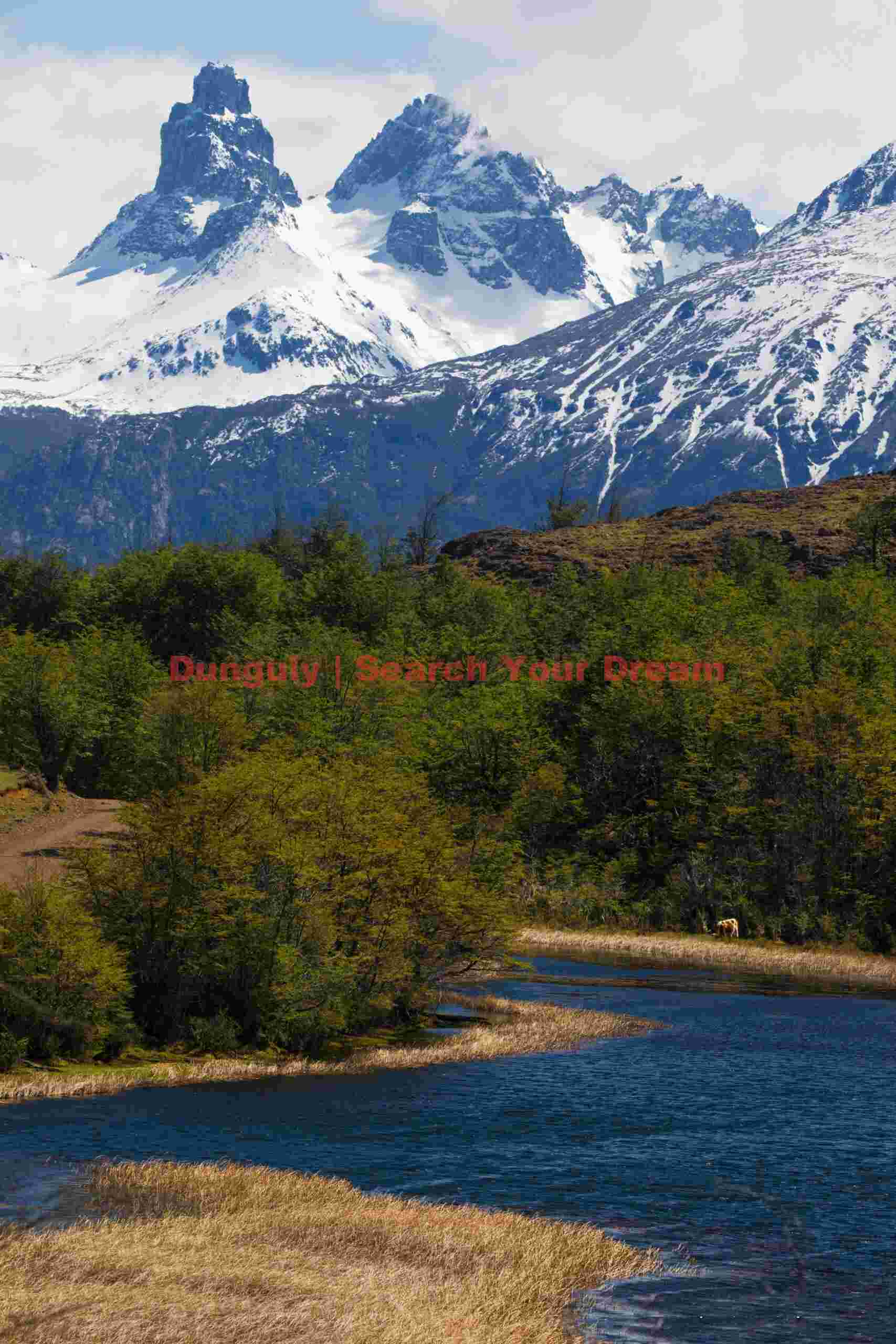 Cerro Castillo Mountain Majesty
