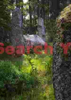 Cothiemuir standing stones #1