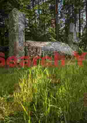 Cothiemuir standing stones #2