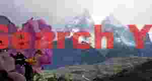 Cuernos del Paine with flowers