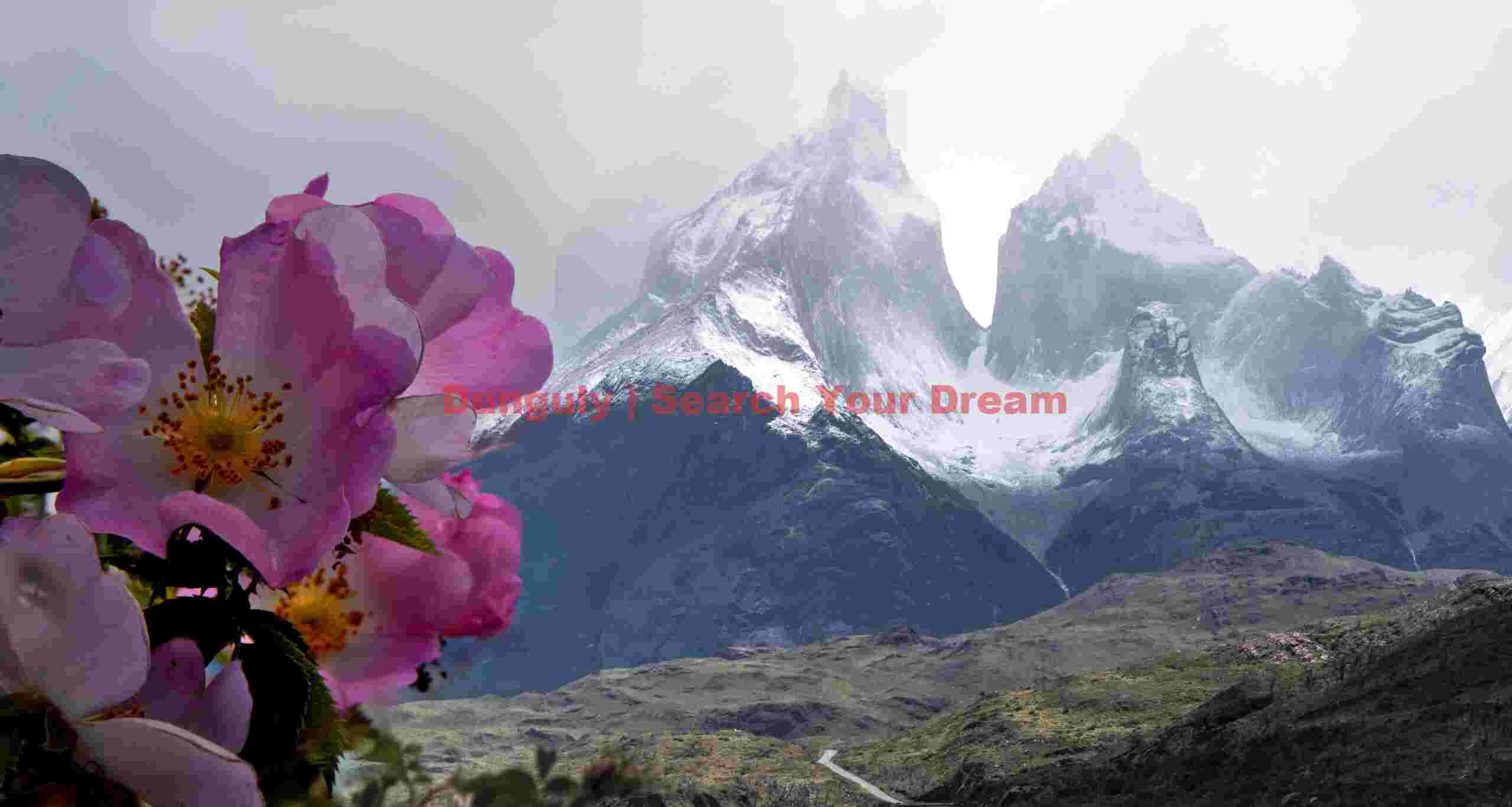 Cuernos del Paine with flowers
