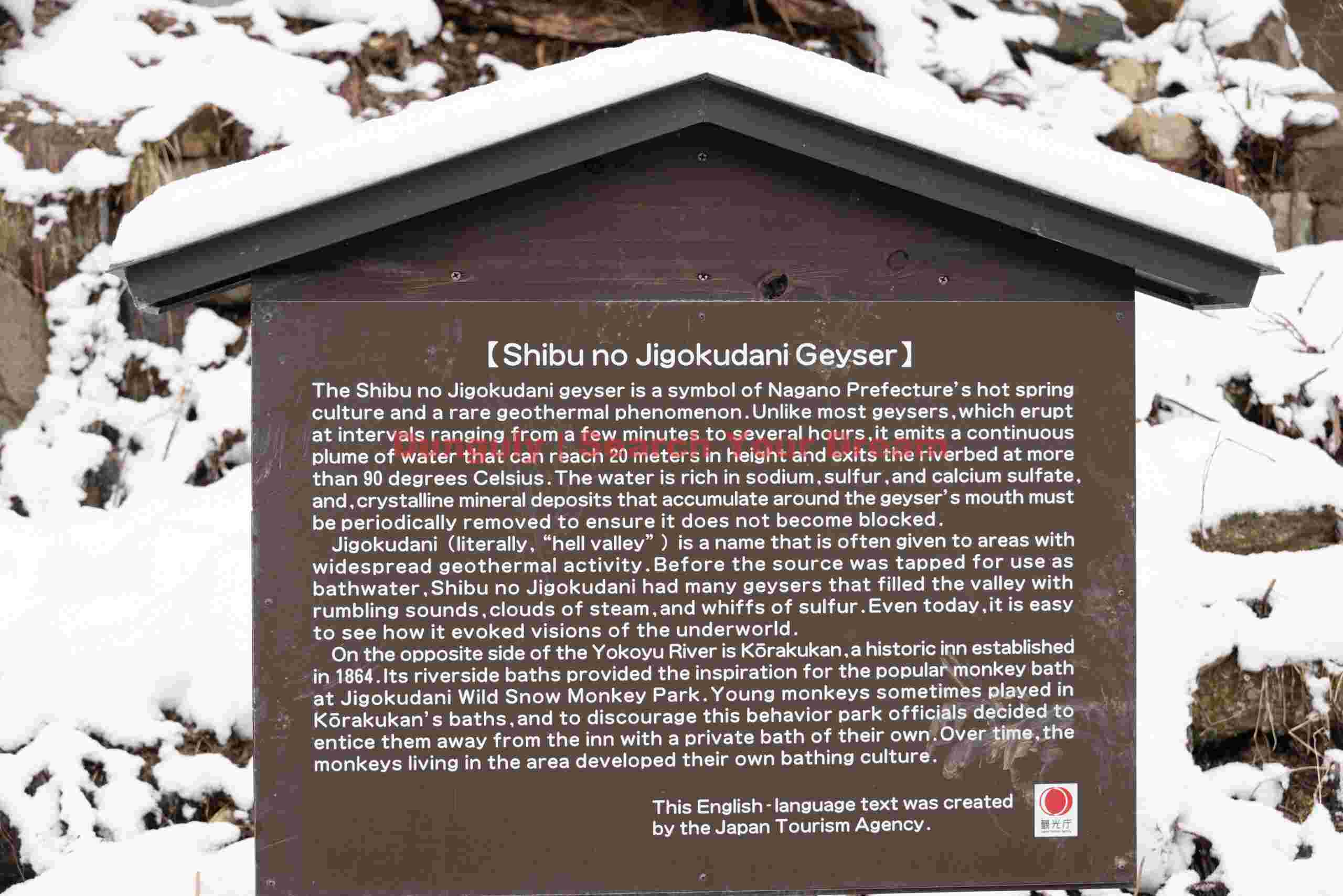 Description of the geyser