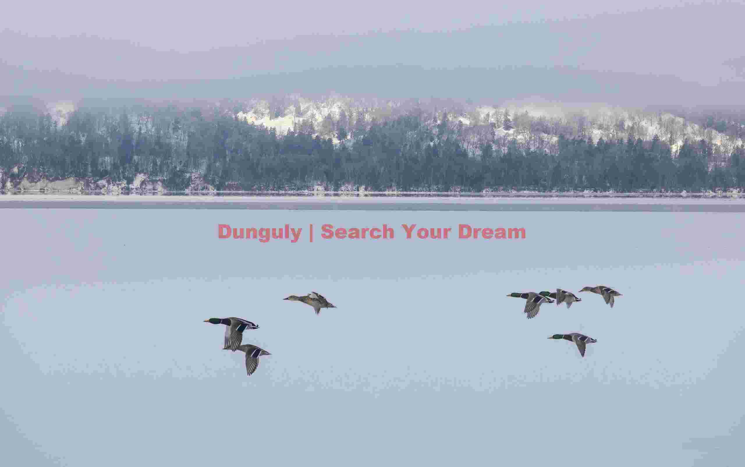 Ducks flying over iced lake