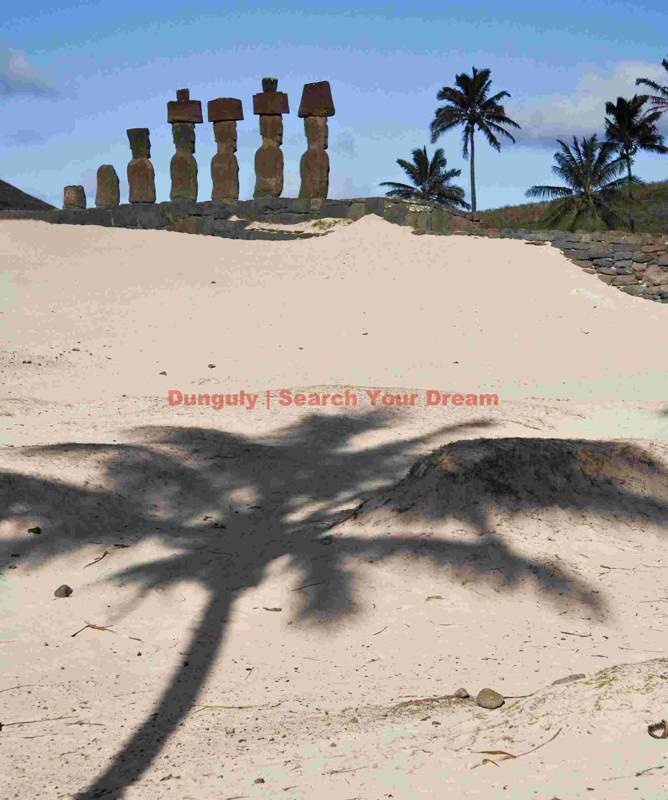 Easter Island - Anakena - Palm Shadow and Moai