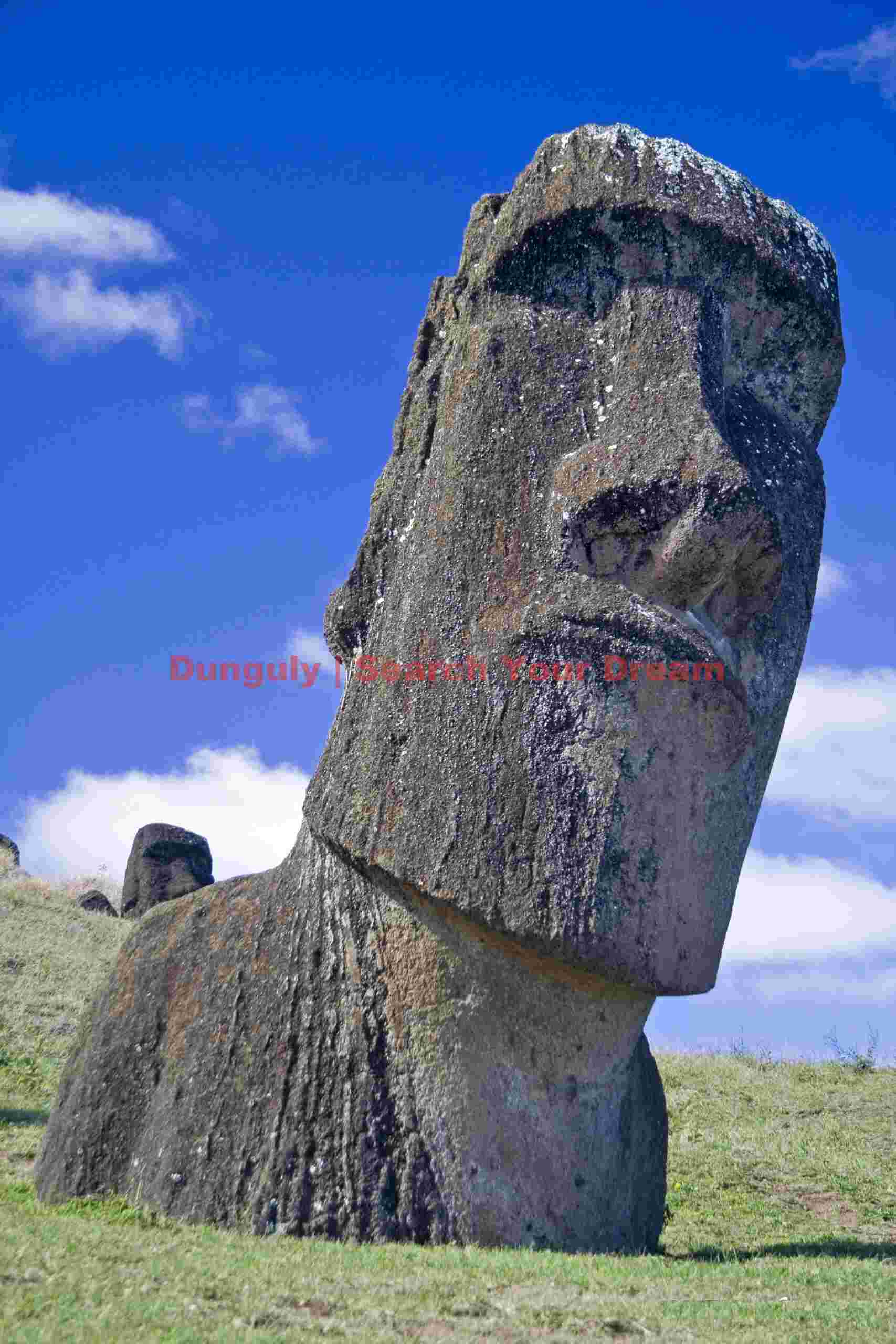 Easter Island - Rano Raraku - Quizzical Moai