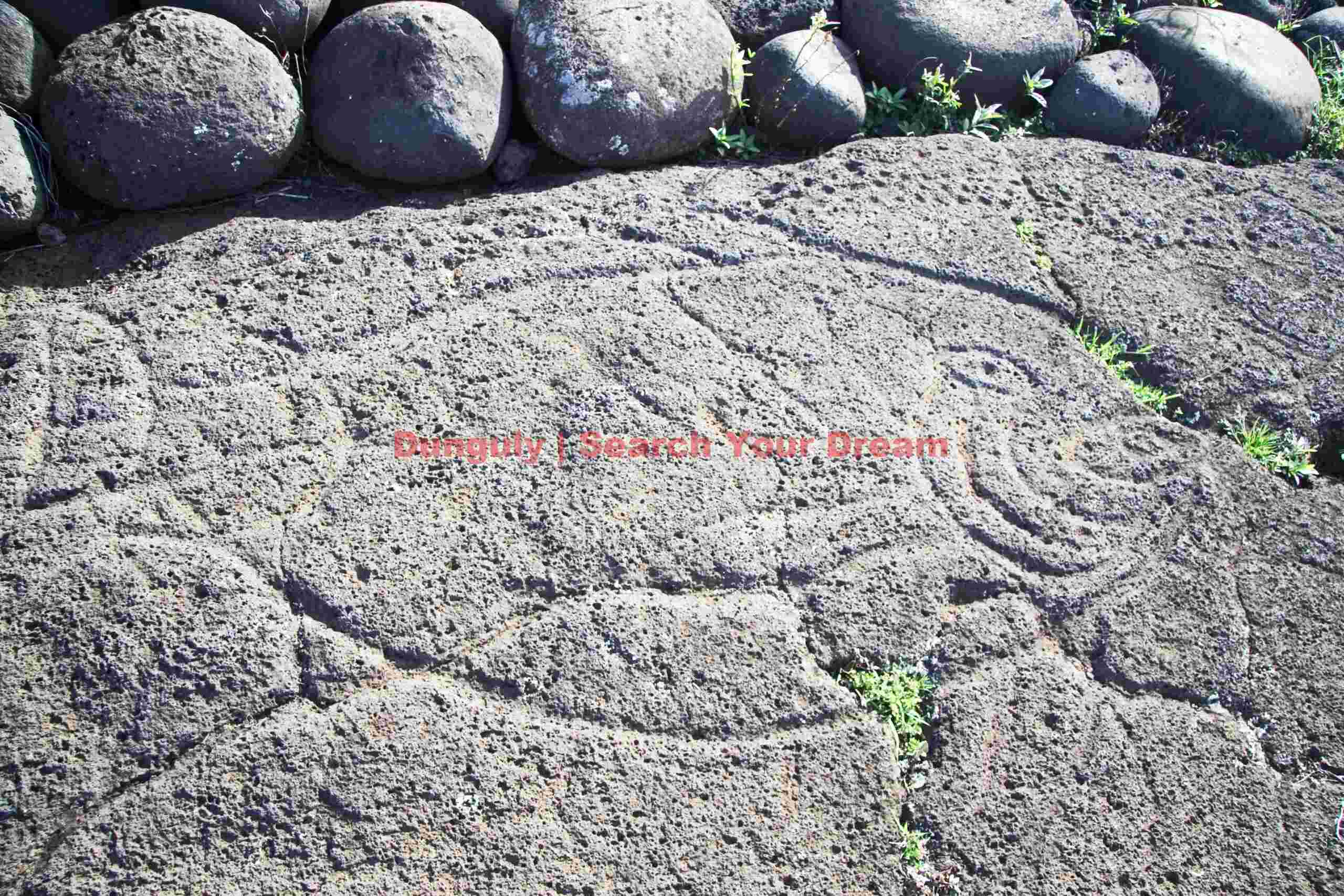 Easter Island - Tongariki - Tuna Petroglyph