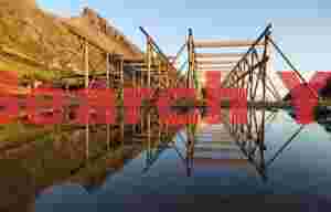 Fish rack reflections