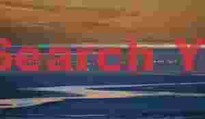 Flamingos and golden reflections