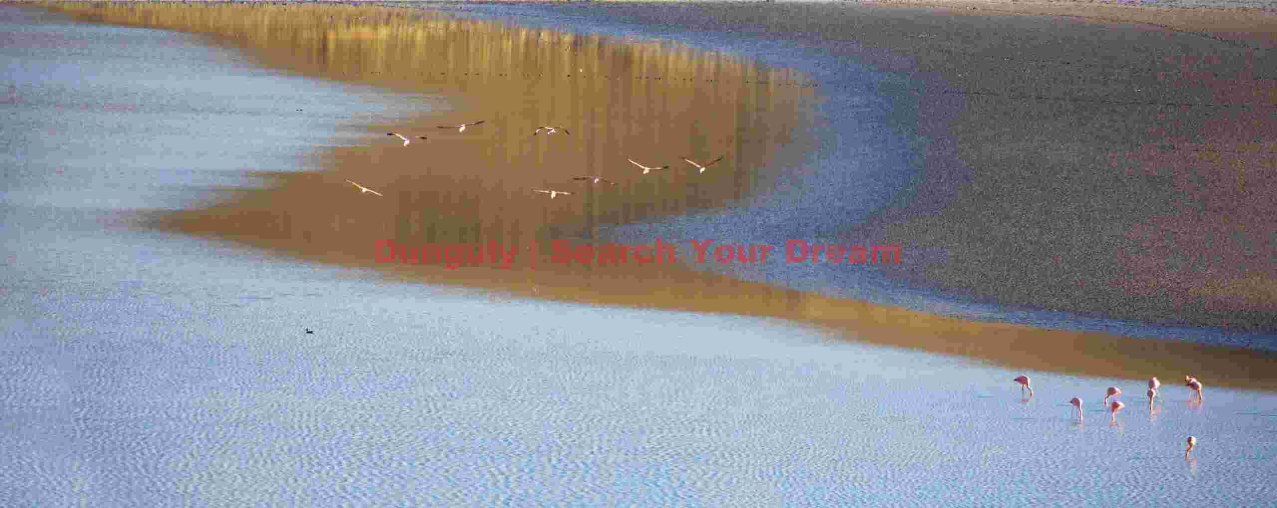 Flamingos Flying over Golden Water