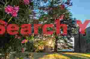 Floral sunrise at the Duomo