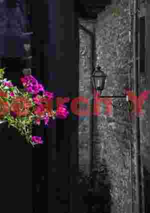 Flowers and streetlamp