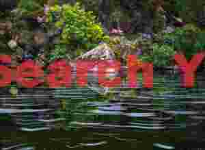 Foam tracks below Amhuinnsuidhe waterfall