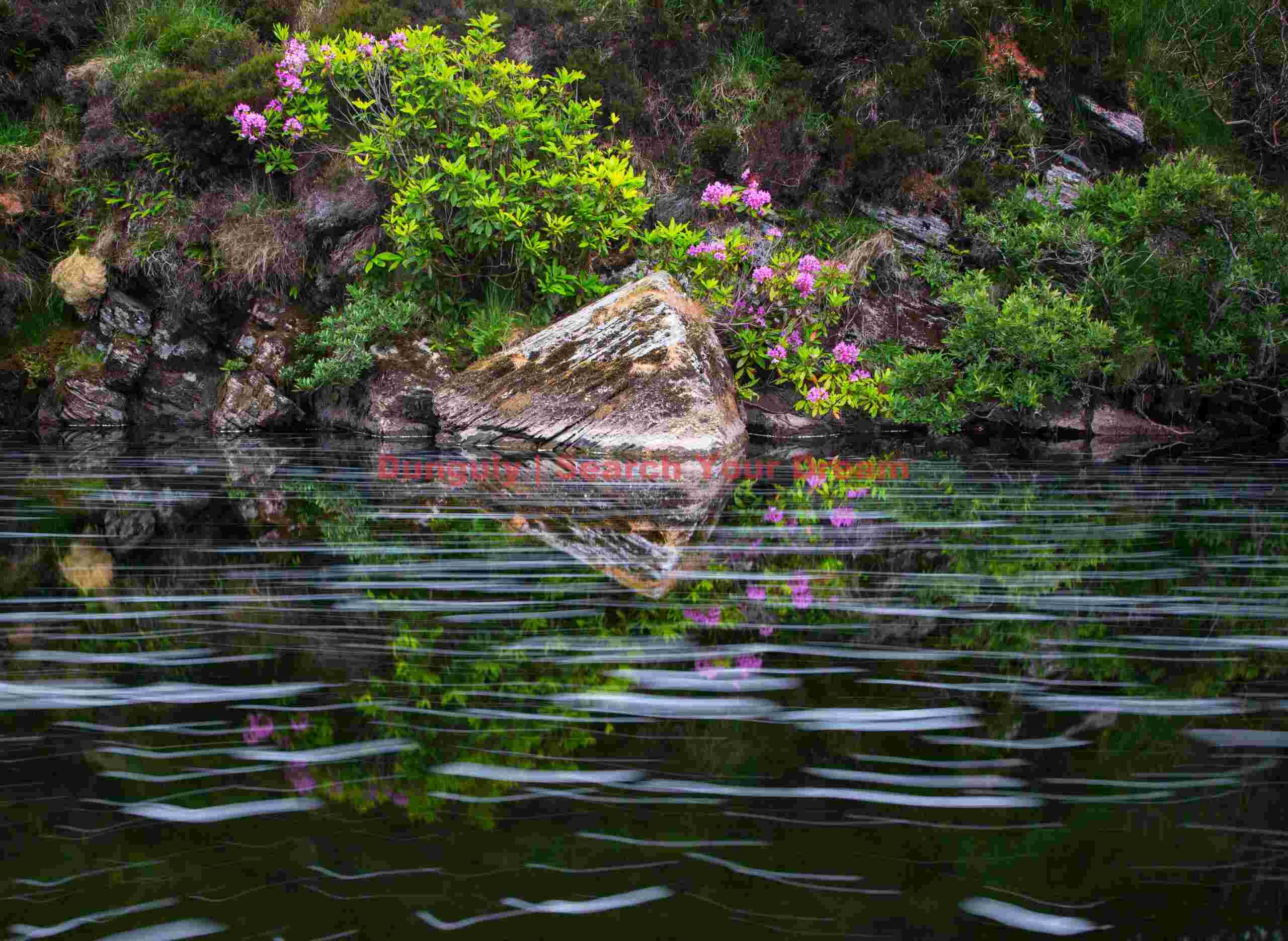 Foam tracks below Amhuinnsuidhe waterfall