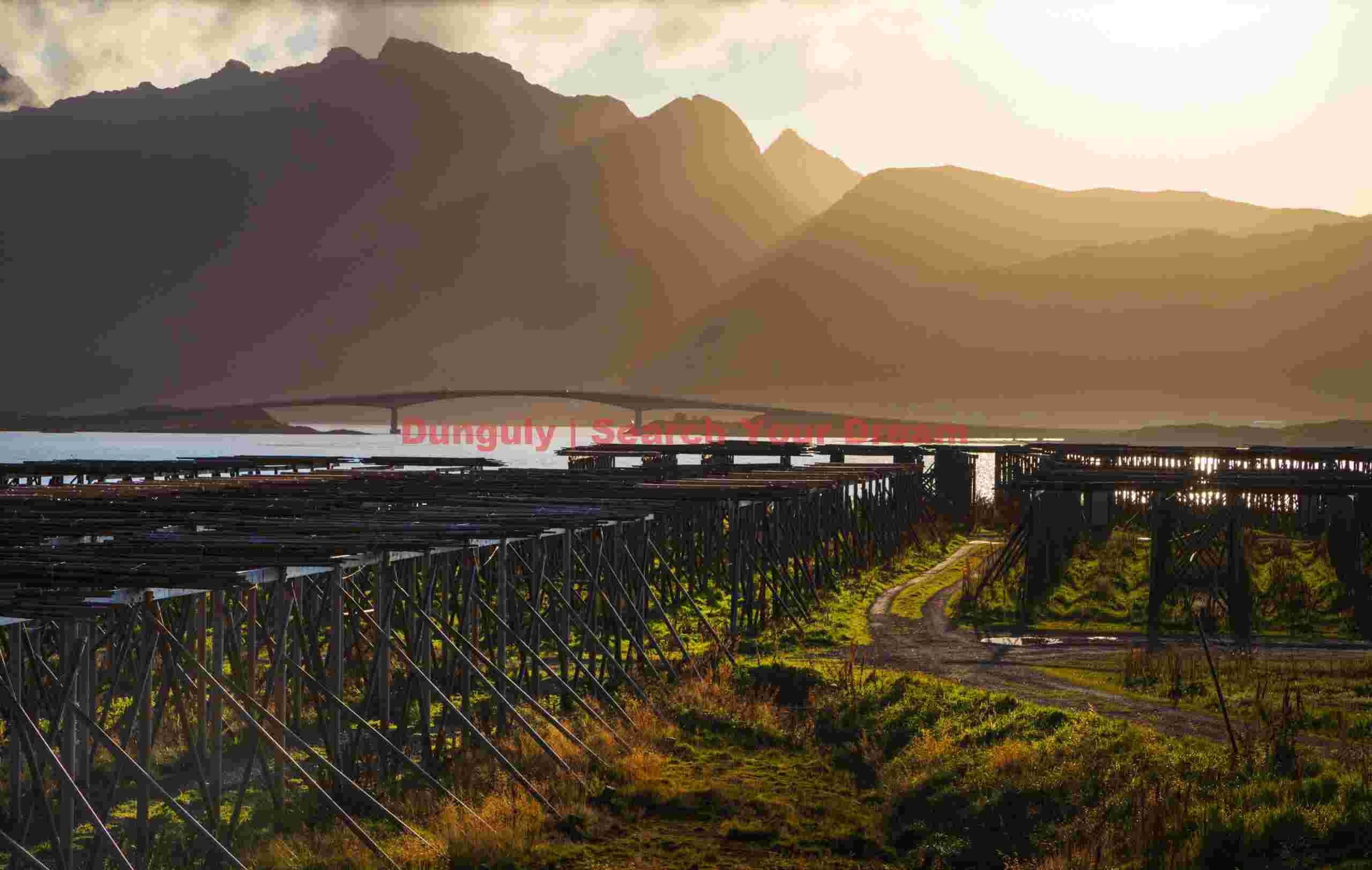 Fredvang bridge and stockfish racks