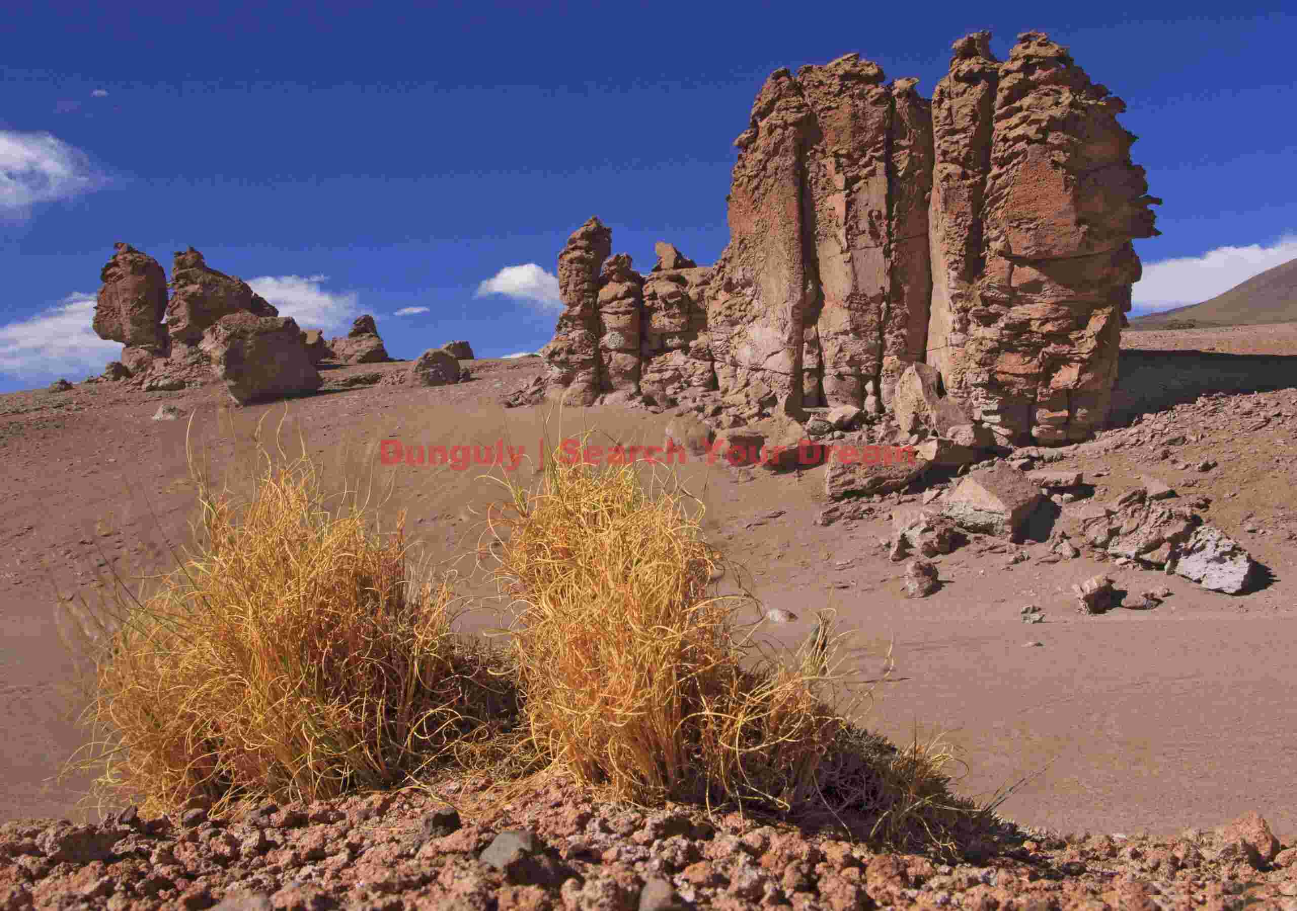 Grasses and monuments - Pacana Guardians Chilean Altiplano