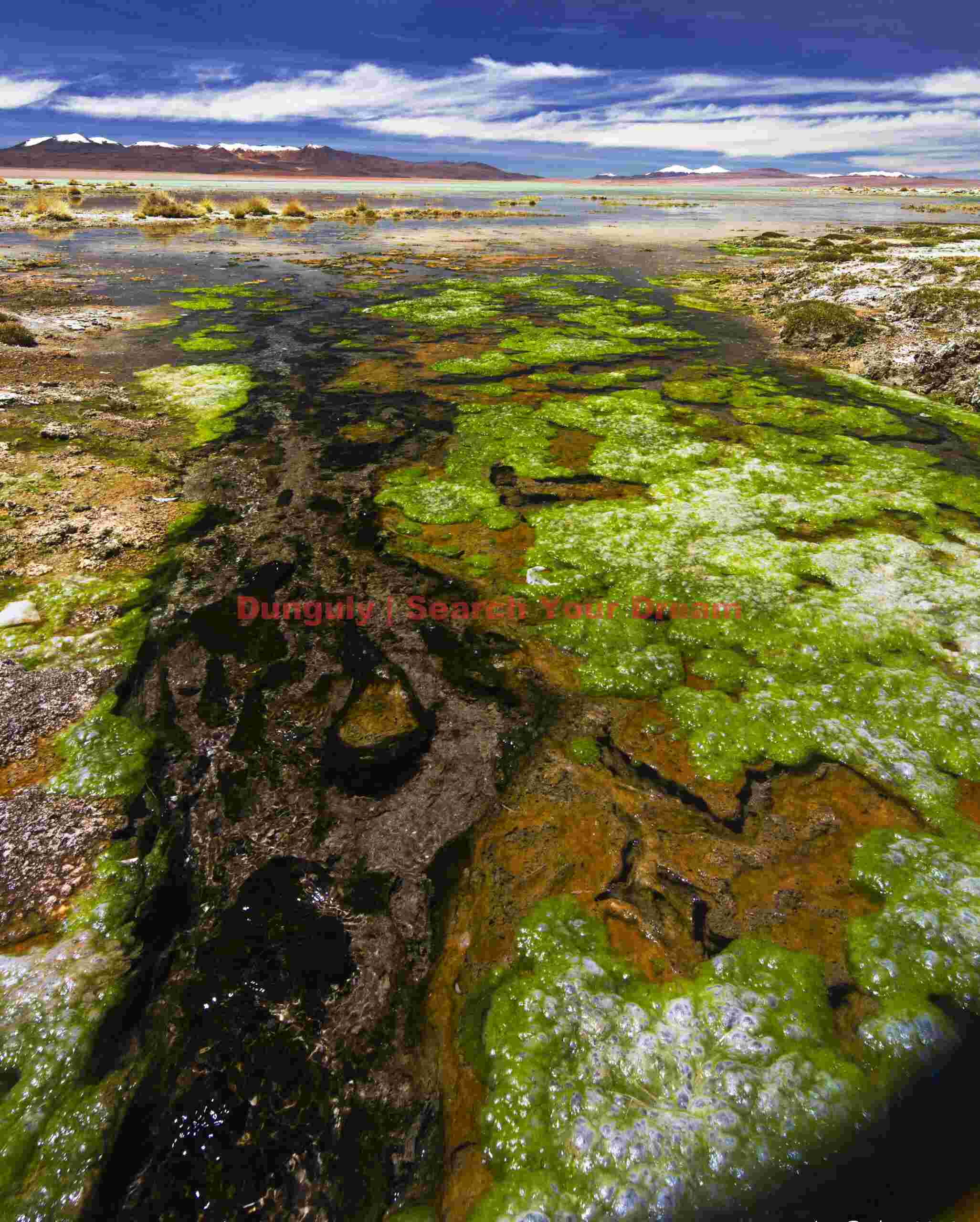 Green thermal spring - Laguna Verde