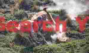 Guanaco Chase with Dust #2