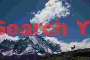 Guanaco sillhouetted against clouds